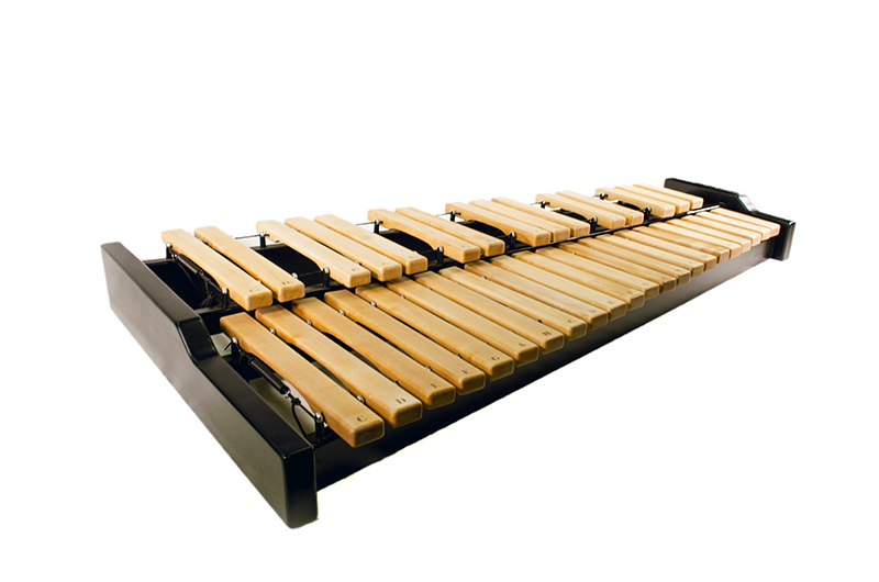 Фото Ксилофон студенческий Dzen DZ-XS