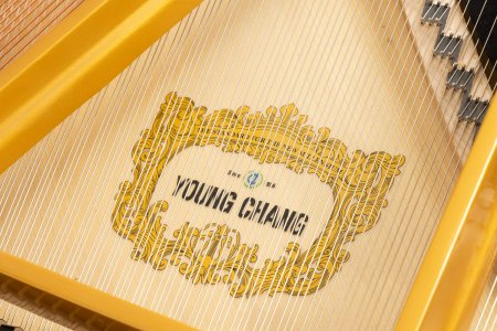 Фото Акустический рояль Young Chang YC168E WHP