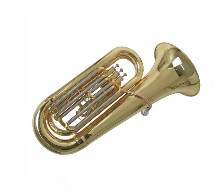 Фото ROY BENSON ТВ-301 Bb