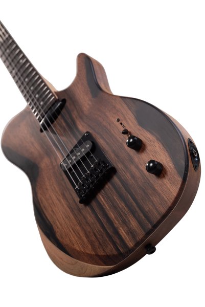 Фото Электрогитара Voltone EB-T60-SDNL