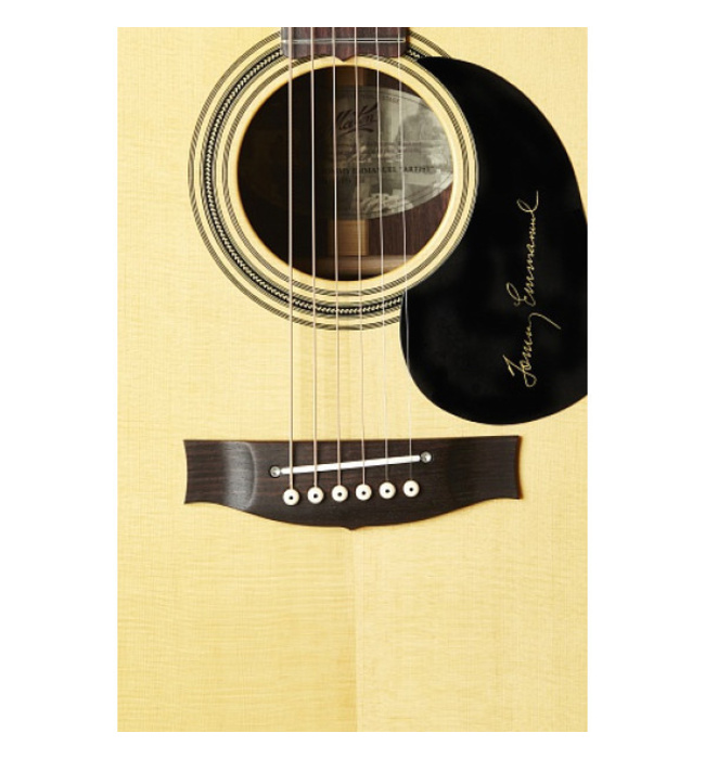 Фото Maton TE1