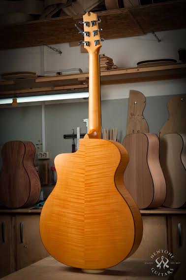 Фото Акустическая гитара NewTone Maple Story GA NT 45