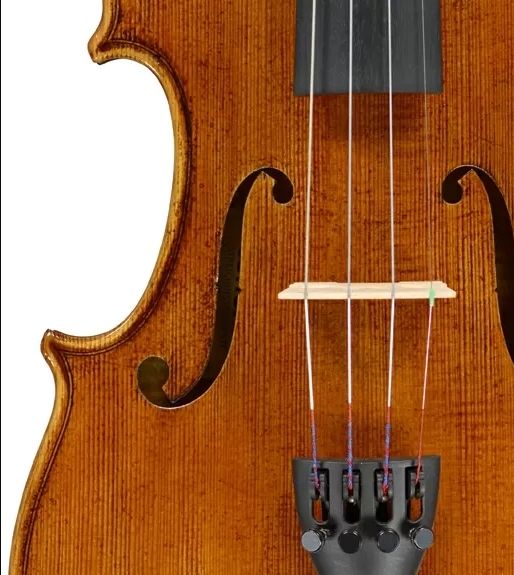Фото Скрипка Tononi VN820 4/4