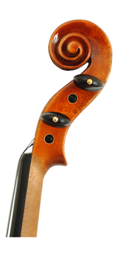 Фото Karl Hofner H115-AS-V 4/4