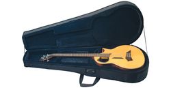 Фото Rockcase RC20810B SALE  Полужесткий кейс для акустичесткого баса
