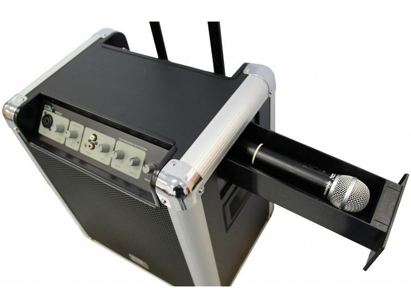 Фото Активная акустическая система Soundking PA10W