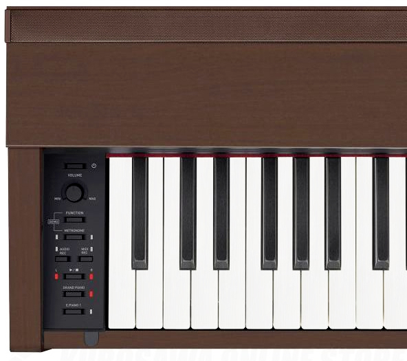 Фото Casio Privia PX-870BN