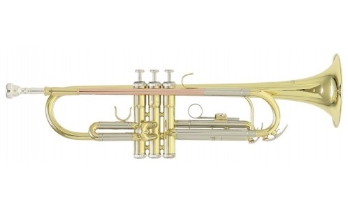 Фото ROY BENSON TR-202 Bb