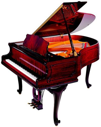 Фото Petrof PE IV Chipp(0001)