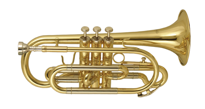 Фото Корнет WISEMANN DCT-650