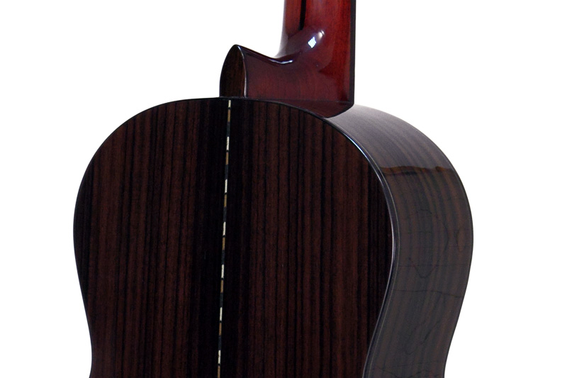 Фото Классическая гитара  Dowina Rioja C