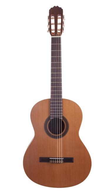 Фото Классическая гитара Prodipe JMFSTUDENT7/8 Student