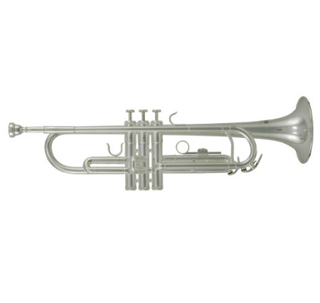 Фото Труба Bb ROY BENSON TR-202S