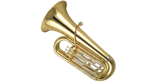 Фото Труба WISEMANN DTU-500