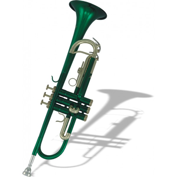 Фото ROY BENSON TR-101Е Bb