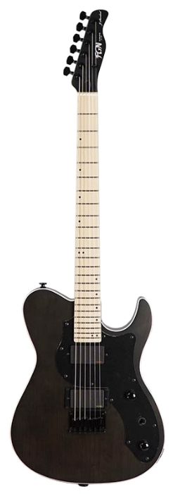 Фото Электрогитара FGN J-Standard Iliad Dark Evolution JIL-DE664-ASHM TBF