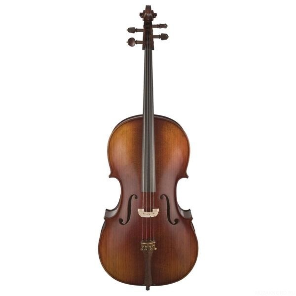 Фото Виолончель HANS KLEIN HKC-12S 4/4