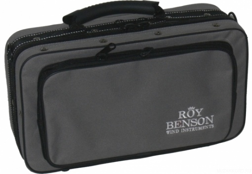 Фото ROY BENSON CG-220