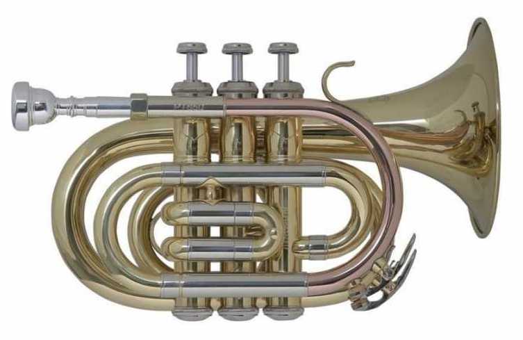 Фото Труба-мини BACH PT-650