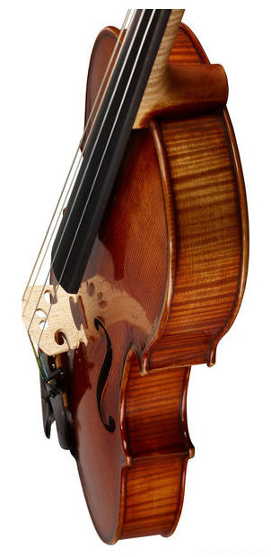 Фото Karl Hofner AS-060-VA 15