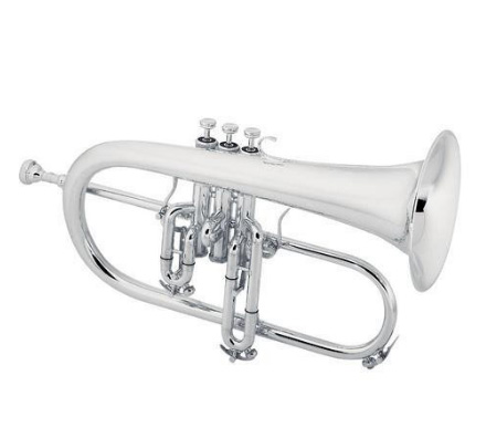 Фото Флюгельгорн Bb KING 2020SP