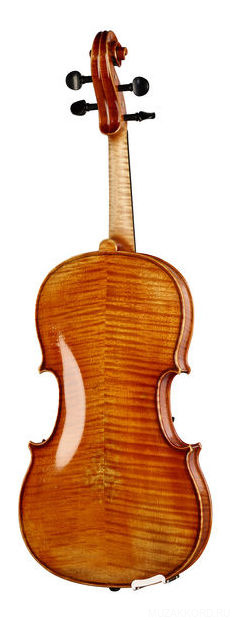 Фото Karl Hofner AS-060-VA