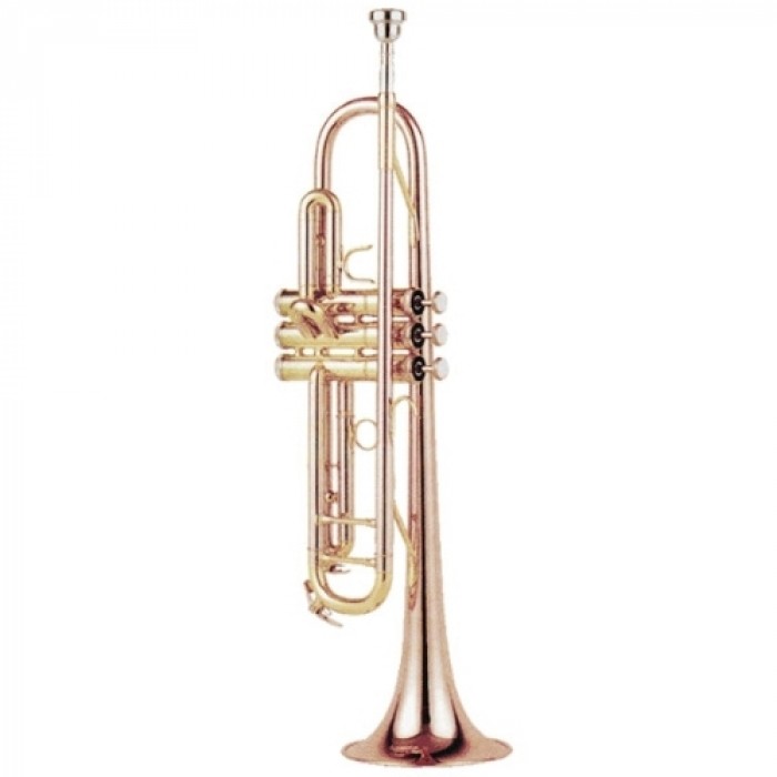 Фото Brahner TR-550GB