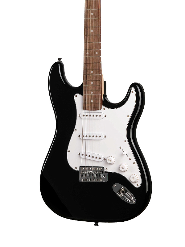 Фото Электрогитара Homage SSS HEG310BK 