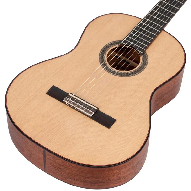 Фото Гитара массив Valencia VC704