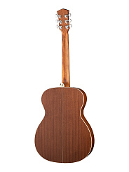 Акустическая гитара Parkwood S22-GT