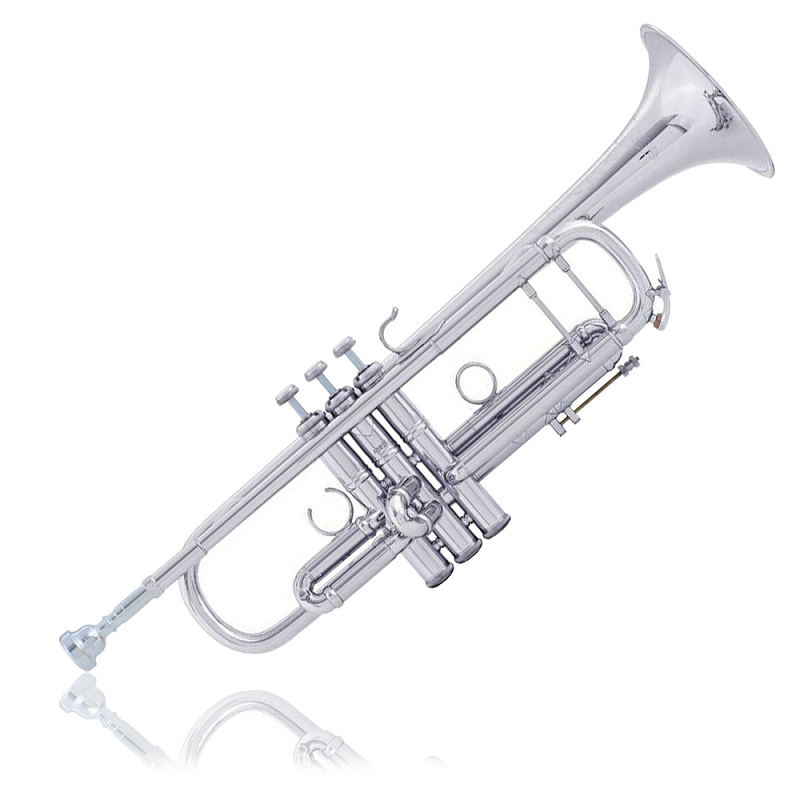 Фото Труба "Bb" BACH AB190 CUSTOM  AB190SG