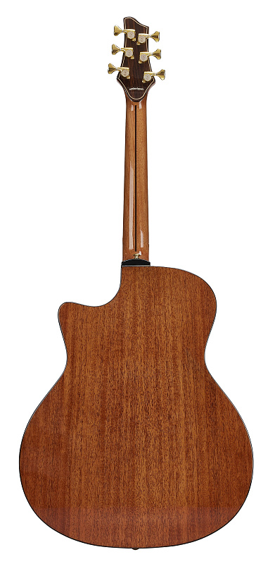 Фото Акустическая гитара NG AM411SC NA