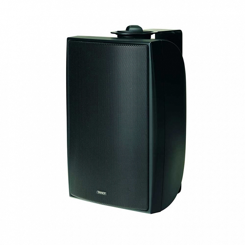 Фото Tannoy DVS 6T