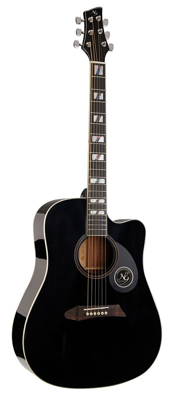 Фото Акустическая гитара NG DAWN S1 BK