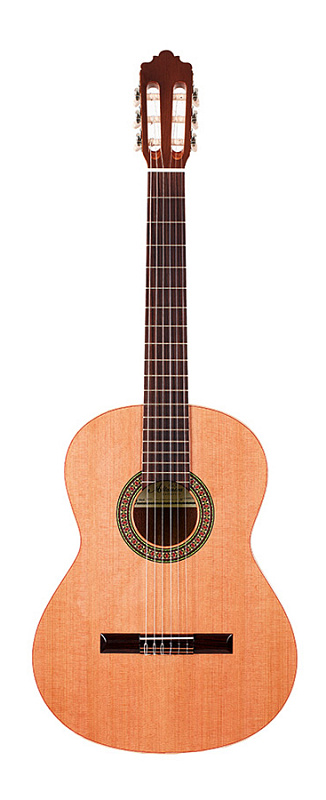 Фото ALTAMIRA N100+