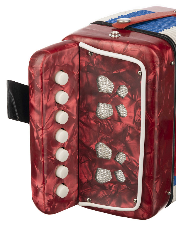 Фото Аккордеон кнопочный Aurus UC218-R