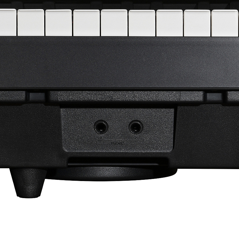 Фото Цифровое фортепиано EMILY PIANO D-20 BK