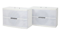 Пассивная акустическая система MADBOY SCREAMER-410W