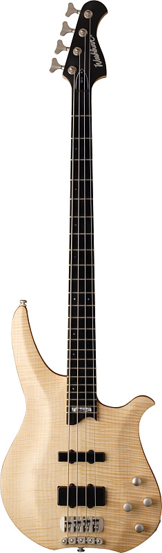 Фото WASHBURN CB4(QB, RG, SP)