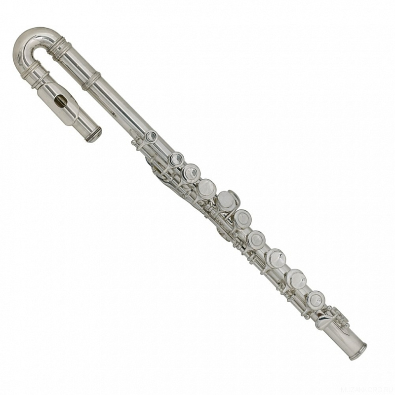 Фото Флейта ROY BENSON FL-102