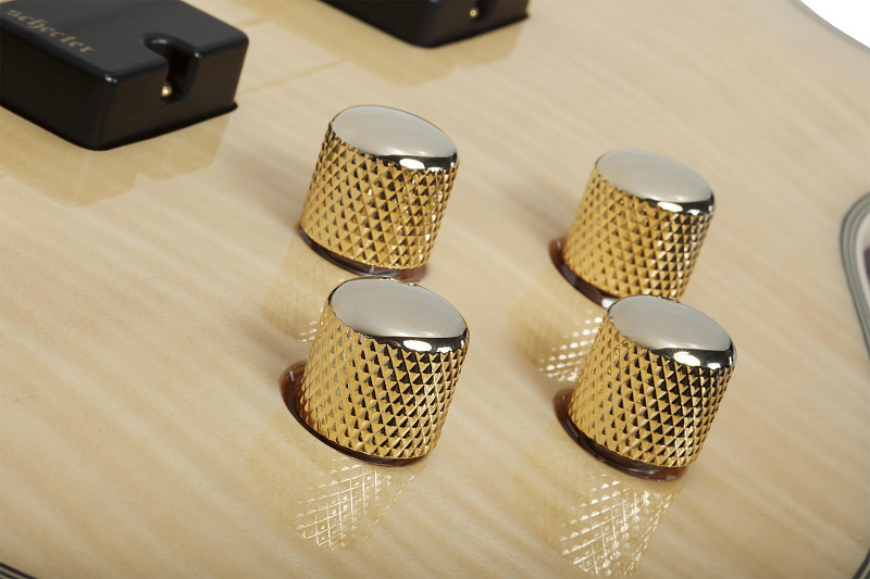 Фото Бас гитара Schecter OMEN EXTREME-4 GNAT