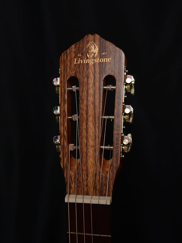 Фото Гитара Livingstone Folkblues NA  39" с вырезом