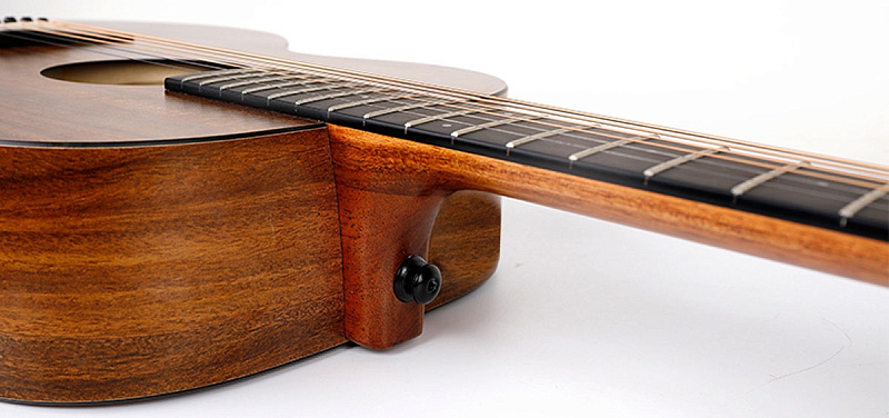 Фото Enya EA-X1+