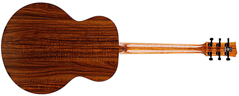 Фото Enya EA-X1EQ+