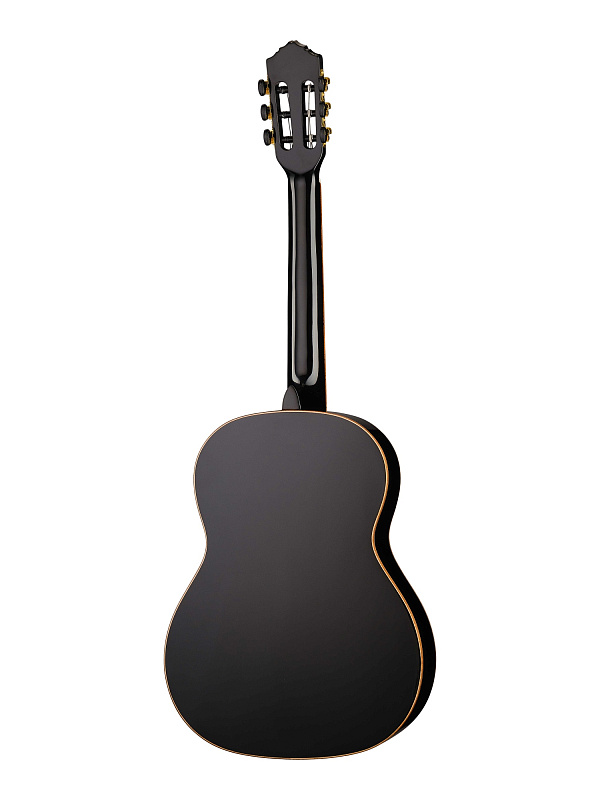 Фото Классическая гитара Ortega R221SNBK Family Series  