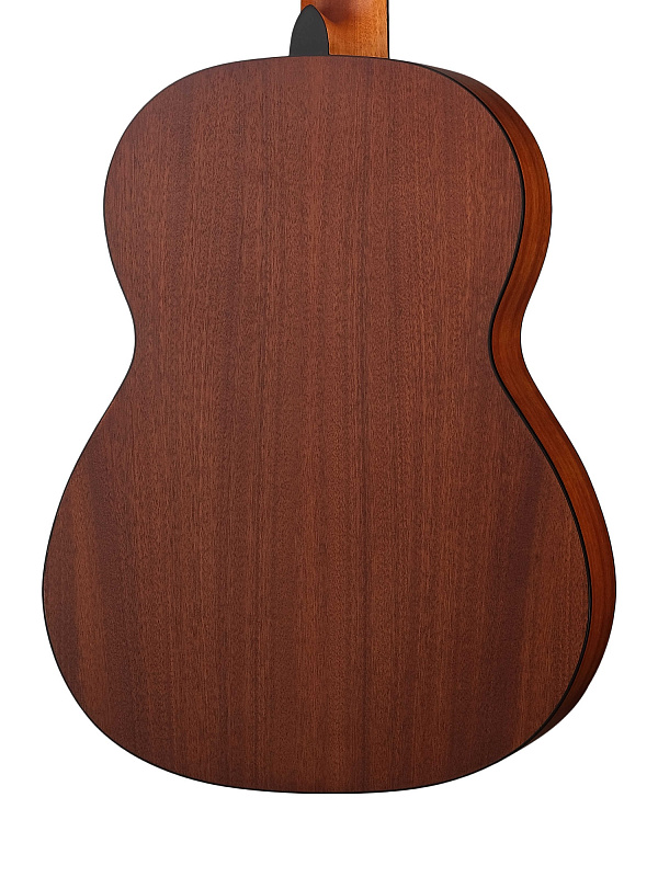 Фото Классическая гитара Cascha CGC200 Stage Series