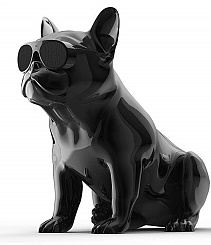 Портативная акустическая система AEROSYSTEM Aerobull HD1 Chrome black