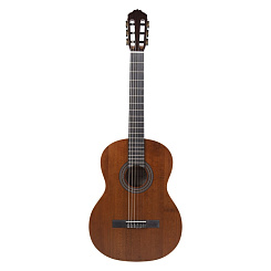 Гитара акустическая Meridaextrema PA43TV-TB с чехлом