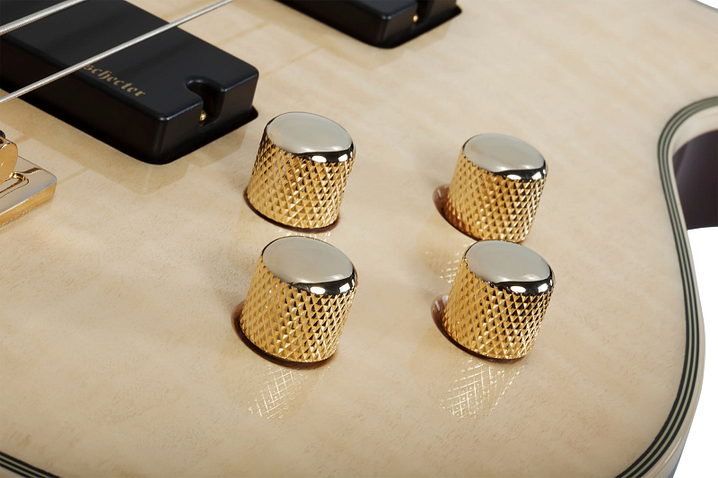 Фото Бас гитара Schecter OMEN EXTREME-5 GNAT