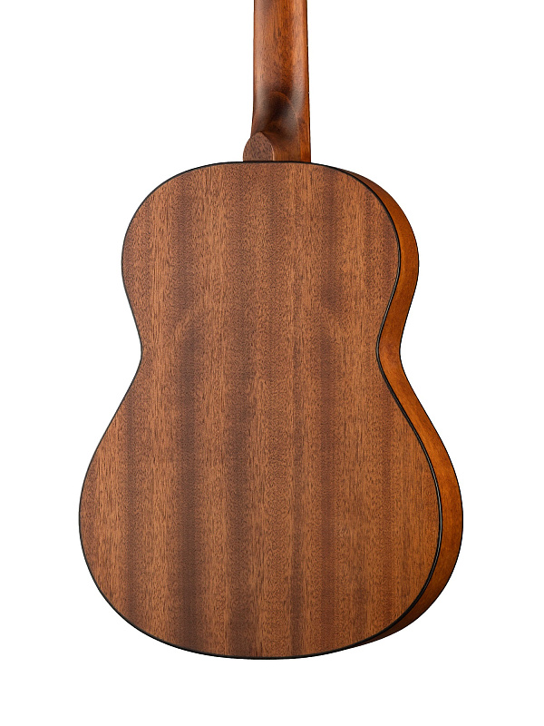 Фото Классическая гитара Parkwood PC75-WBAG-OP